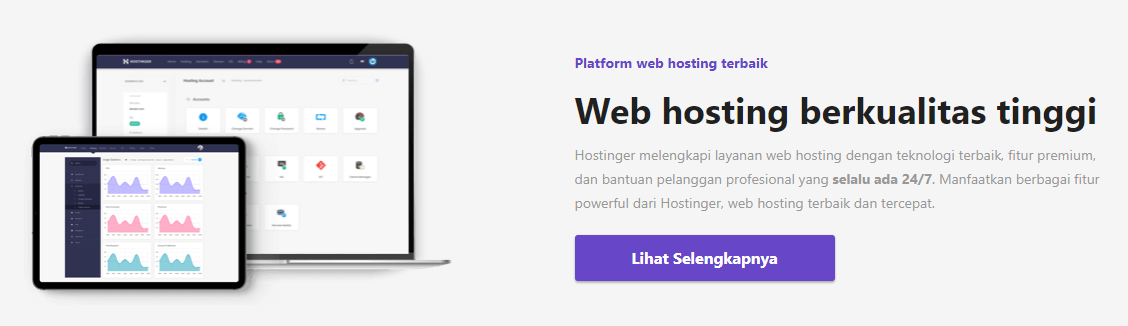 Hostinger-web-hosting